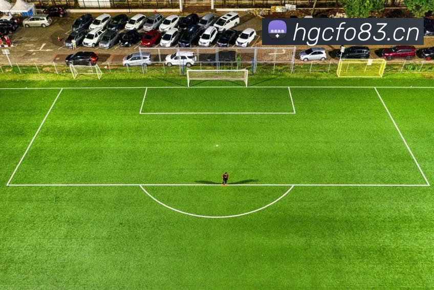 pg娱乐平台生态图